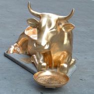 Golden cow